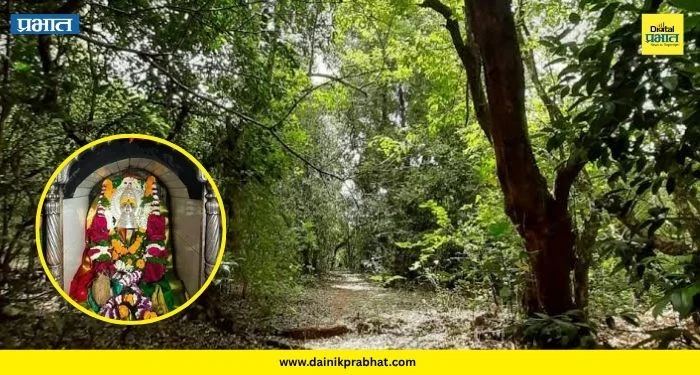 Mandhardev News: मांढरदेव येथील ऐतिहासिक देवराई संकटात! अनियंत्रित उत्खननामुळे डोंगराला मोठा धोका