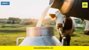 Milk prices: दूध दर वाढला, शेतकरी मात्र अडचणीत; नफ्याऐवजी खर्चच अधिक