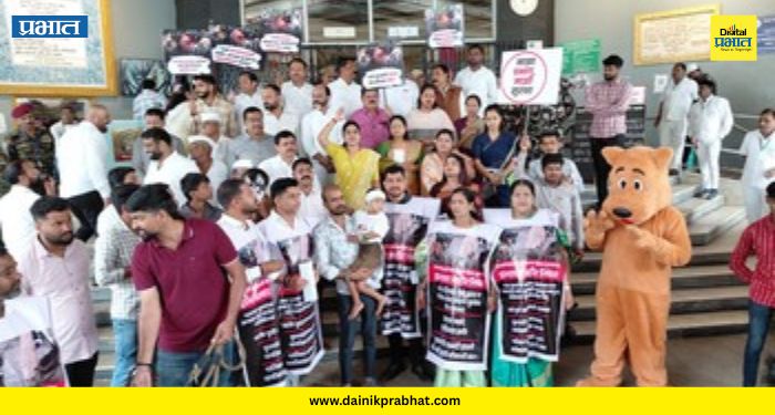 PCMC News: भटक्या कुत्र्यांच्या हल्ल्यांना जबाबदार कोण? पालिकेच्या पशुवैद्यकीय विभागाविरोधात राष्ट्रवादी आक्रमक
