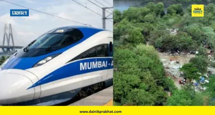 Bullet Train : बुलेट ट्रेनसाठी खारफुटी तोडण्यास उच्च न्यायालयाची मंजुरी