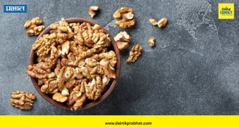 Walnut Benefits: रोज फक्त २ अक्रोड खा; शरीरात दिसतील 'हे' आश्चर्यकारक बदल