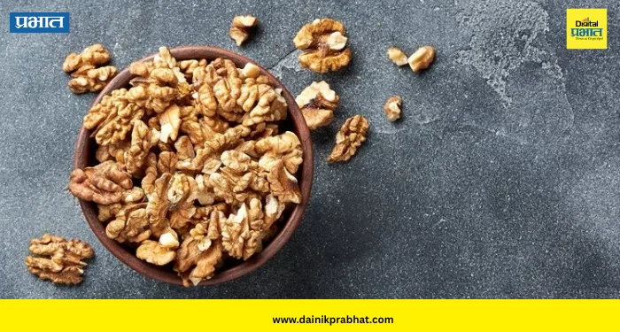 Walnut Benefits: रोज फक्त २ अक्रोड खा; शरीरात दिसतील ‘हे’ आश्चर्यकारक बदल