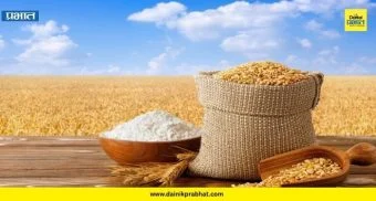 Wheat Export : गव्हाच्या निर्यातीवरील बंदी अखेर उठवली; मैदा-रव्याच्या निर्यातीचाही मार्ग मोकळा