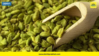 Cardamom Benefits: १५ दिवस रोज वेलची खाल्ली तर शरीरात काय बदल होतात? जाणून घ्या '५' मोठे फायदे