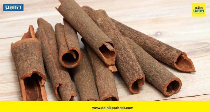 Cinnamon: दालचिनीचा छोटासा तुकडा, आरोग्यासाठी मोठा फायदा! पचनापासून रक्तातील साखरेपर्यंत जाणून घ्या फायदे