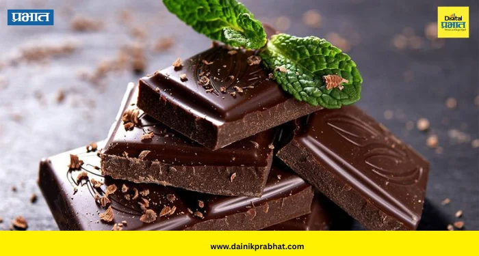 Dark Chocolate: “रोज फक्त १-२ तुकडे डार्क चॉकलेटचे खा… आणि मिळवा ‘५’ जबरदस्त आरोग्यदायी फायदे!”