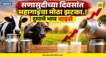 Milk Price Hike : सणासुदीच्या दिवसांत महागाईचा मोठा झटका.! दुधाच्या दरात तब्बल 'इतक्या' रुपयांची वाढ