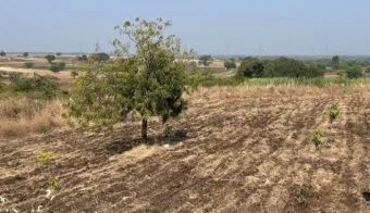 Khalapur News : जमीन परत मिळविण्यासाठी शेतकऱ्याचा दावा