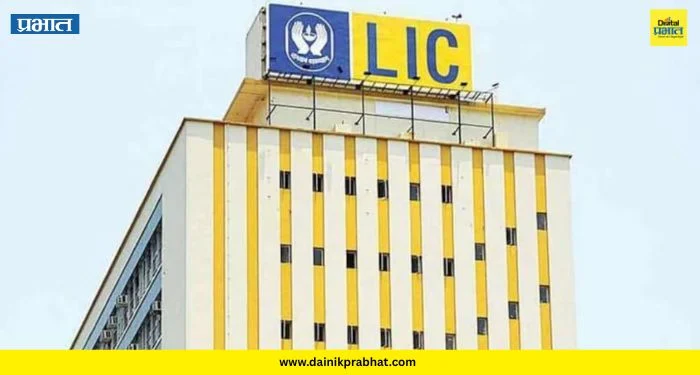 LIC Share : ‘एलआयसी’चा शेअर अचानक कोसळला! सरकारच्या हिस्सा विक्रीच्या निर्णयामागचं खरं कारण काय?