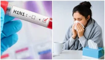 Swine Flu: 'स्वाईन फ्लू'चे कमबॅक; १९ रुग्णांची नोंद - वैद्यकीय विभाग अलर्टवर