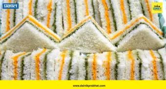 Tiranga Food: 15 ऑगस्टला प्लेटमध्ये सजवा देशभक्तीचा स्वाद; तिरंग्याच्या रंगात बनवा हे '7' भन्नाट पदार्थ!