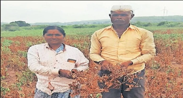 Junnar : दुष्काळग्रस्त यादीतून जुन्नर बाहेर