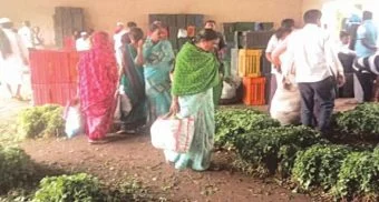 Pune District : भाजीपाल्याला भाव नाही; शेतकरी आर्थिक विवंचनेत!