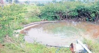 Pune District : तहानलेल्या वन्यजीवांची तहान भागली