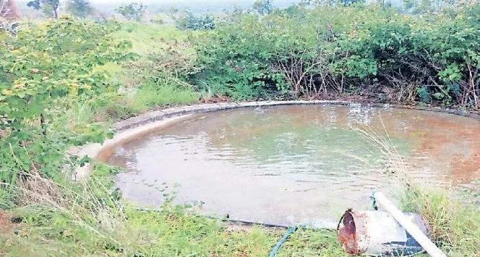 Pune District : तहानलेल्या वन्यजीवांची तहान भागली