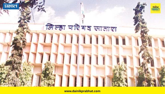 Satara: पवित्र पोर्टलमधून जिल्ह्यात 357 जण होणार शिक्षक