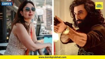 Kareena Kapoor : "‘ॲनिमल’ हिट झाला म्हणून सगळेच..."; करीनाने दाखवला बॉलिवूडला आरसा, व्यक्त केलं परखड मत