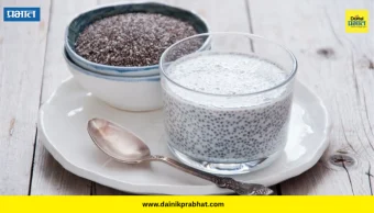 Chia Seeds: चिया सीड्स पाण्यात की दह्यात? हेल्दी डाएटसाठी कोणता पर्याय ठरतो फायदेशीर, जाणून घ्या योग्य पद्धत