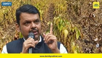 Declares Drought: शेतकऱ्यांना मोठा दिलासा! अखेर महाराष्ट्रात फडणवीस सरकारकडून दुष्काळ जाहीर