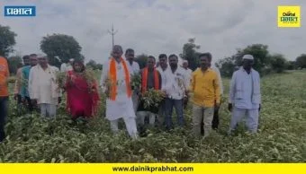 Farmers News : मराठवाड्यात कोरडा दुष्काळ जाहीर करा; शेतकऱ्यांचा टाहो