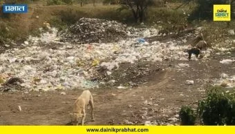 Kalas News : कळस-लोणीदेवकर रस्त्यालगत कचरा डेपो; दुर्गंधीमुळे नागरिक त्रस्त, ग्रामपंचायतीच्या कारभारावर संताप