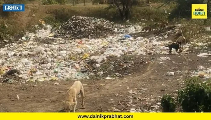Kalas News : कळस-लोणीदेवकर रस्त्यालगत कचरा डेपो; दुर्गंधीमुळे नागरिक त्रस्त, ग्रामपंचायतीच्या कारभारावर संताप