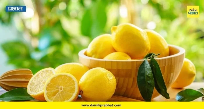 Lemon Price: पावसाळ्यातही लिंबाचा भाव तेजीत! मार्केट यार्डात आवक घटल्याने किमती भडकल्या; पाहा नवे दर