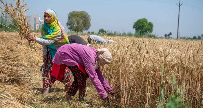 Women Farmers