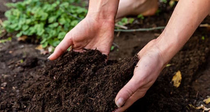 Save Soil