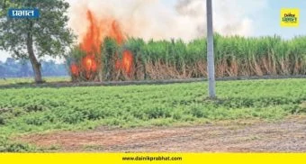 Sugarcane Fire: शॉर्ट सर्किटमुळे मोठा अनर्थ! शिंगवे येथे चार एकर ऊस जळून खाक...शेतकऱ्यांमध्ये तीव्र संताप
