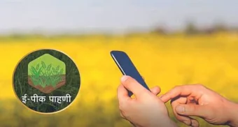 Pune District : ई-पीक पाहणीचा सर्व्हर ठप्प