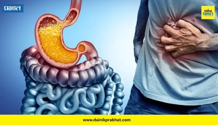 Digestive Health: गॅस, ॲसिडिटी आणि पोटफुगीचा त्रास? आठवड्यातून दोनदा खा ‘ही’ भाजी, जाणून घ्या फायदे
