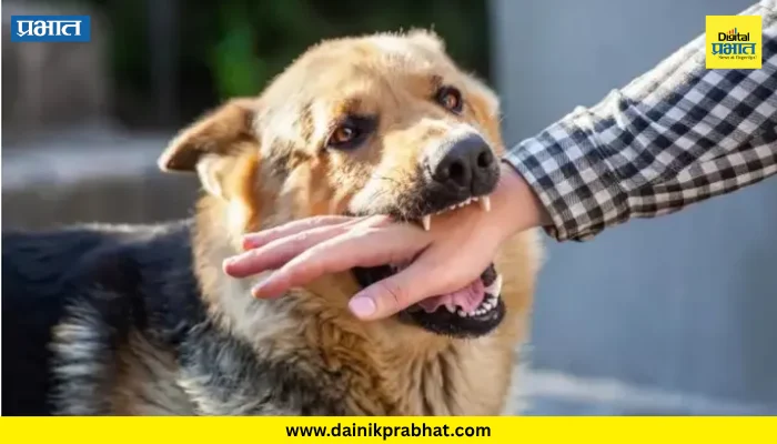 Rabies Prevention: कुत्रा चावल्यानंतर या ५ चुका टाळा! रेबीजचा धोका वाढू शकतो, त्यामुळे वेळीच काळजी घ्या