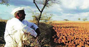 Pune District : इंदापूरच्या शेतकर्‍यांसाठी 5 कोटींच्या अतिरिक्त निधीचा मार्ग मोकळा?