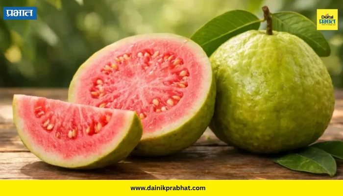 Guava Benefits: सफरचंद महाग झालंय? मग पेरू खा! स्वस्त फळाचे हे ‘7’ जबरदस्त फायदे ऐकून व्हाल थक्क!