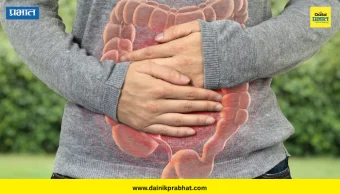 Gut Health: एका रात्रीत आतड्यांमधील कचरा साफ होतो का? पोट हलकं ठेवण्यासाठी जाणून घ्या हे सोपे उपाय