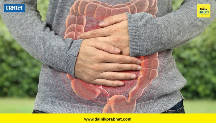 Gut Health: एका रात्रीत आतड्यांमधील कचरा साफ होतो का? पोट हलकं ठेवण्यासाठी जाणून घ्या हे सोपे उपाय