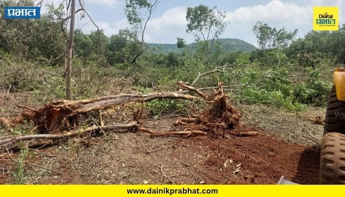 Katraj News : कात्रज घाटात वनविभागाची ‘कुऱ्हाड’; १००० झाडांची कत्तल, तीन एकर परिसर भुईसपाट