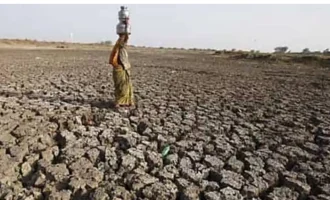 Marathwada : मराठवाड्यात दुष्काळ जाहीर करा! संभाजी ब्रिगेडची मुख्यमंत्री फडणवीस यांच्याकडे मागणी