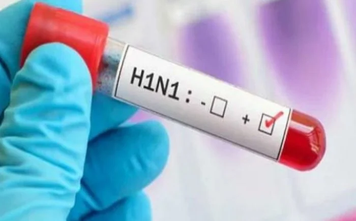 Swine flu: स्वाइन फ्लूचा विळखा; महिनाभरात २३ रुग्ण पॉझिटिव्ह