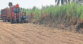 Pune District : रब्बी हंगामातील पिकांसाठी धावपळ