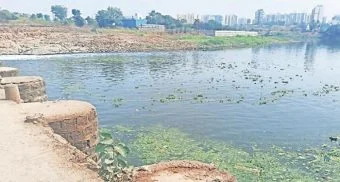 Pune District : चिंबळी-मोशी हद्दीतील के.टी. बंधारा कमालीचा दुरवस्थेत