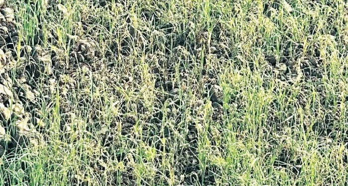 Ranjangaon : रांजणगाव एमआयडीसीत प्रदूषणाचा मुद्दा ऐरणीवर