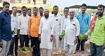 Pune District : विड्याच्या पानांची २,१०० डागांची विक्रमी आवक
