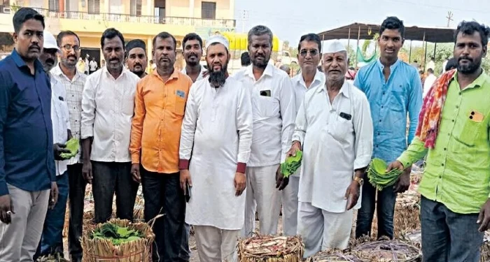 Pune District : विड्याच्या पानांची २,१०० डागांची विक्रमी आवक