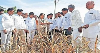 Indapur : शेतकर्यांच्या खात्यात नऊ हजार रुपये जमा करा - खासदार सुळे