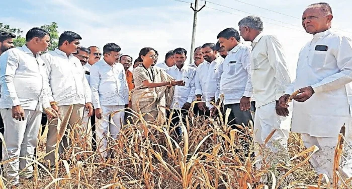Indapur : शेतकर्यांच्या खात्यात नऊ हजार रुपये जमा करा – खासदार सुळे