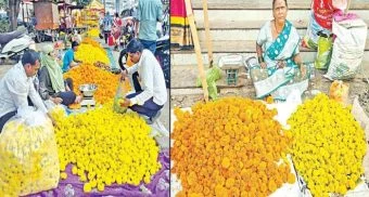 Pune District : दसऱ्याच्या झेंडूला कवडीमोल भाव