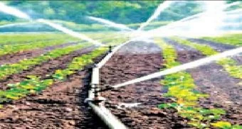 Pune District : धामणीतील उपसा सिंचन प्रश्न सोडविण्यासाठी लक्ष घालणार