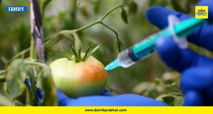 Artificially Ripened Fruits: आकर्षक दिसणारी फळे घेताय? सावधान! पिंपरी-चिंचवडमध्ये रासायनिक फळांचा धोका…वाचा सविस्तर